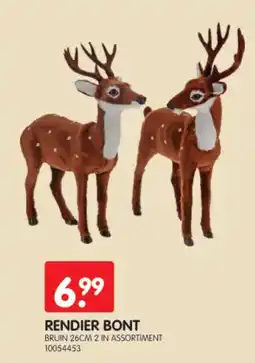 Yess Rendier bont aanbieding