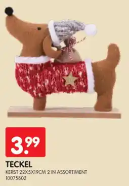Yess Teckel kerst aanbieding