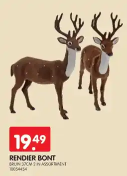 Yess Rendier bont aanbieding