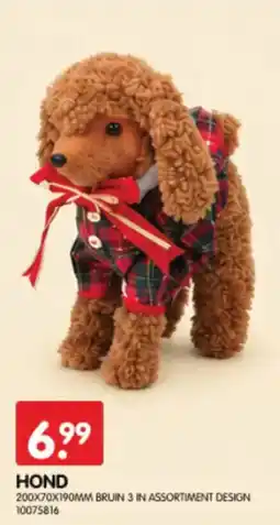 Yess Hond aanbieding