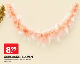 Yess Guirlande pluimen aanbieding