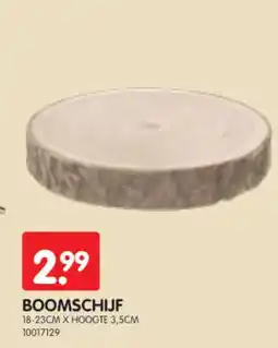 Yess Boomschijf aanbieding