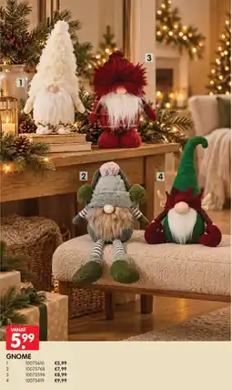 Yess Gnome aanbieding