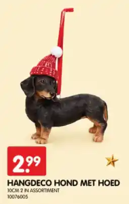 Yess Hangdeco hond met hoed aanbieding