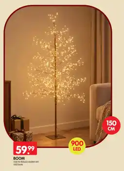 Yess Boom aanbieding