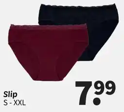 Wibra Slip aanbieding