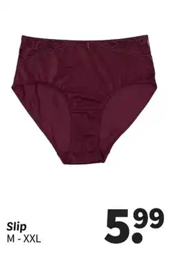 Wibra Slip aanbieding