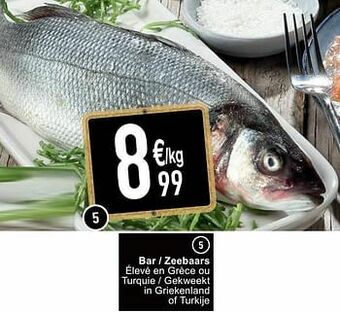 Cora Bar - zeebaars aanbieding