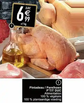 Cora Pintadeau - parelhoen p’tit duc aanbieding