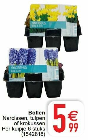 Cora Bollen aanbieding