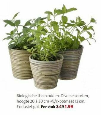 Biologische theekruiden