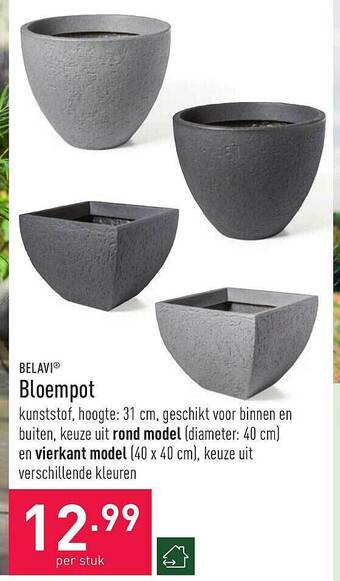 ALDI Bloempot aanbieding