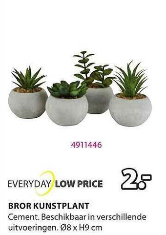 Jysk Bror Kunstplant aanbieding