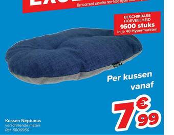 Carrefour Kussen Neptunus aanbieding