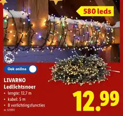Lidl Livarno ledlichtsnoer aanbieding