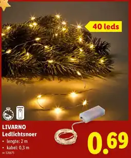 Lidl Livarno Ledlichtsnoer aanbieding