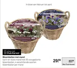 Karwei Bloembollen met mand aanbieding