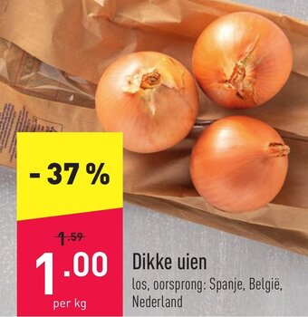 Dikke uien