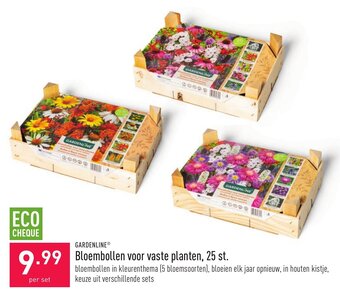 ALDI Bloembollen voor vaste planten, 25 st. aanbieding