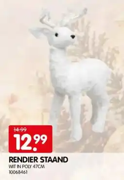 Yess Rendier staand aanbieding