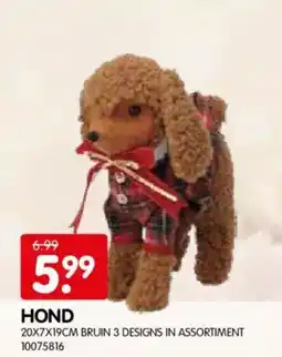 Yess Hond aanbieding