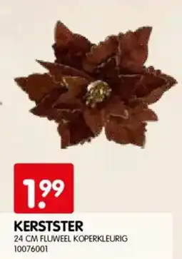 Yess Kerstster aanbieding