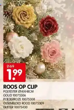 Yess Roos op clip aanbieding
