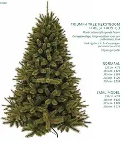 Horta Triumph tree kerstboom forest frosted aanbieding