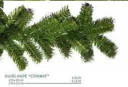 Horta Guirlande Conway aanbieding