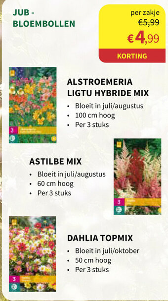 Horta Jub-bloembollen aanbieding
