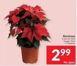 Intermarché Kerstroos aanbieding