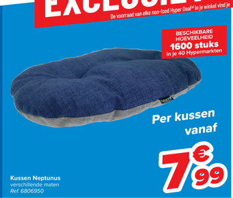 Carrefour Kussen Neptunus aanbieding