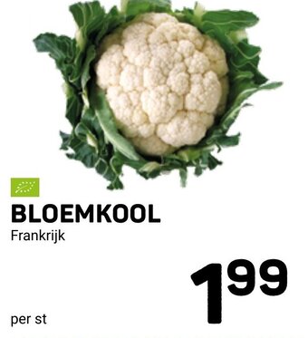 Bloemkool