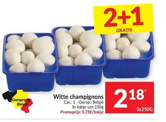 Witte champignons 3*250gr
