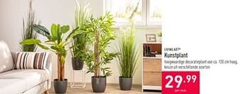 ALDI Kunstplant aanbieding