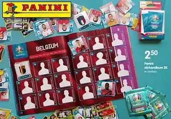 Panini stickeralbum ek
