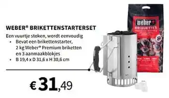 Weber brikettenstarterset