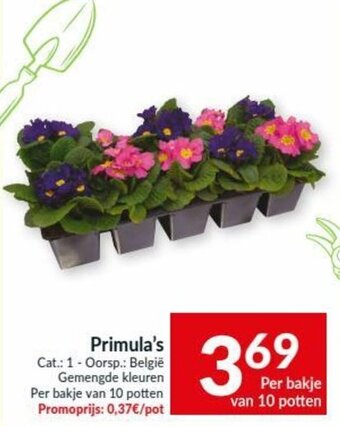 Intermarché Primula's aanbieding