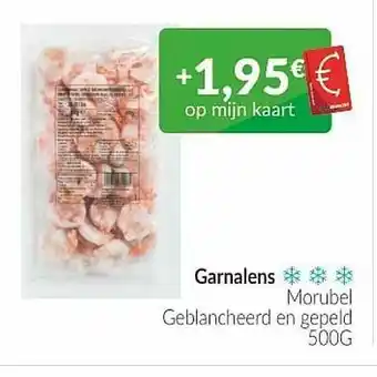 Garnalens Morubel