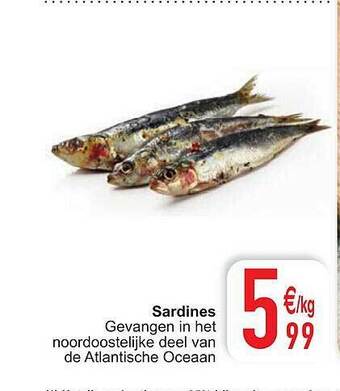 Cora Sardines aanbieding