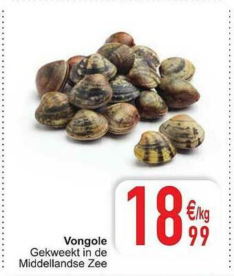 Cora Vongole aanbieding