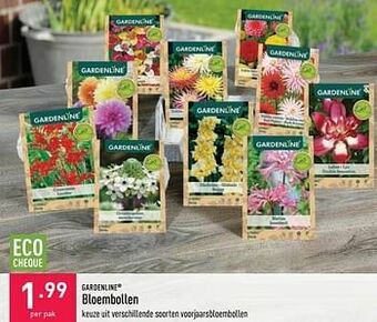 Bloembollen