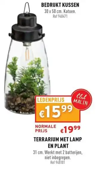 Trafic Terrarium Met Lamp En Plant aanbieding