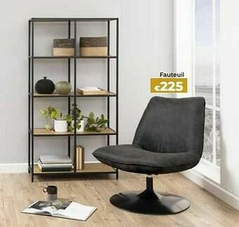 Euroshop Fauteuil aanbieding