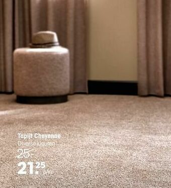 Kwantum Tapijt cheyenne aanbieding