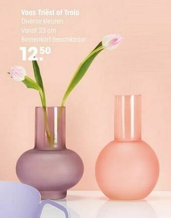 Kwantum Vaas triëst of troia aanbieding