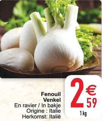 Fenouil venkel