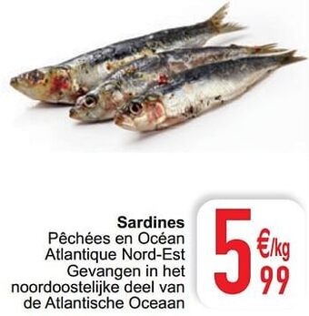 Cora Sardines aanbieding