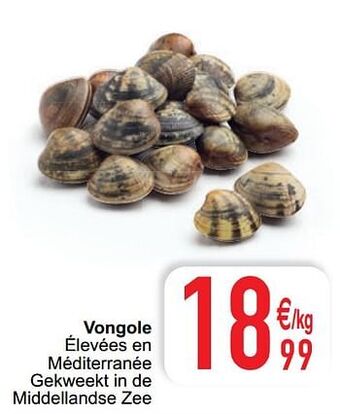 Cora Vongole aanbieding