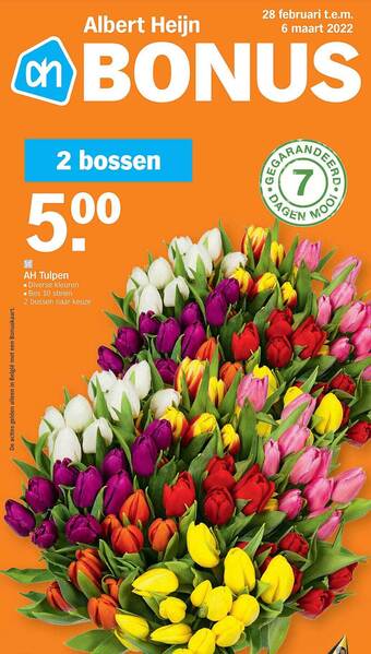 Albert Heijn Ah Tulpen aanbieding